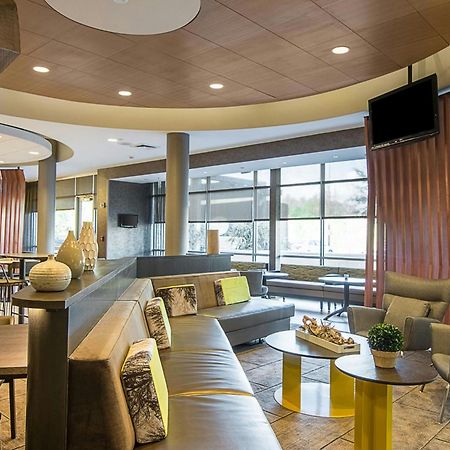 Springhill Suites Tampa North/Tampa Palms Buitenkant foto
