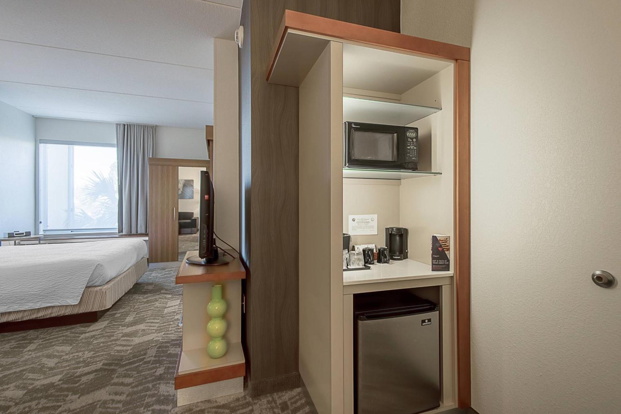 Springhill Suites Tampa North/Tampa Palms Buitenkant foto