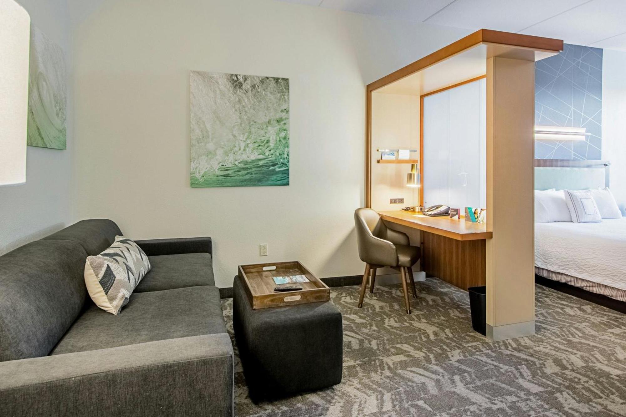Springhill Suites Tampa North/Tampa Palms Buitenkant foto