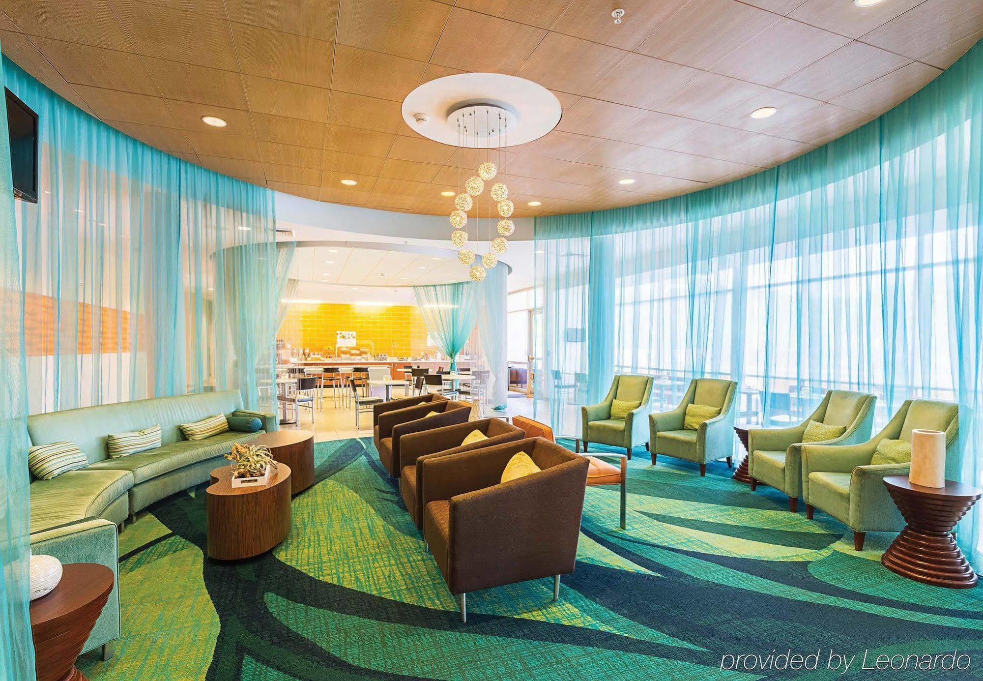 Springhill Suites Tampa North/Tampa Palms Buitenkant foto